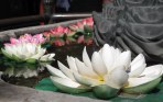 Chine: récit d’un bref séjour