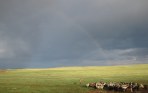 Mongolie: nature et découvertes